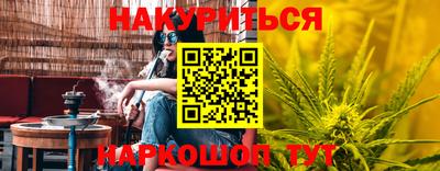 мяу мяу мука Гатчина