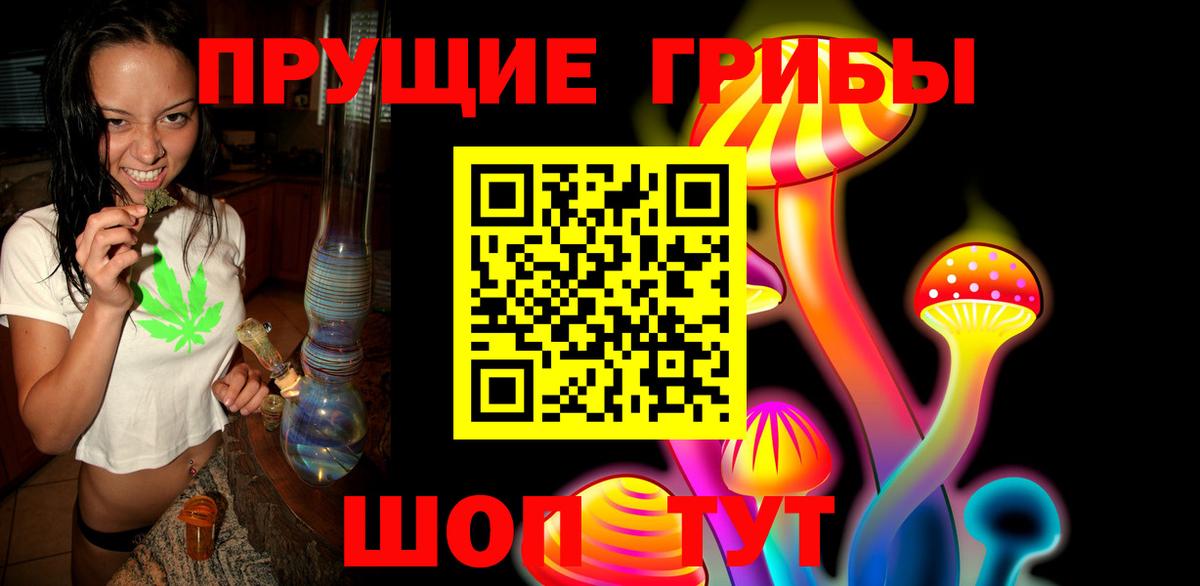 Псилоцибиновые грибы Psilocybine cubensis  Вход с VPN  Королёв 