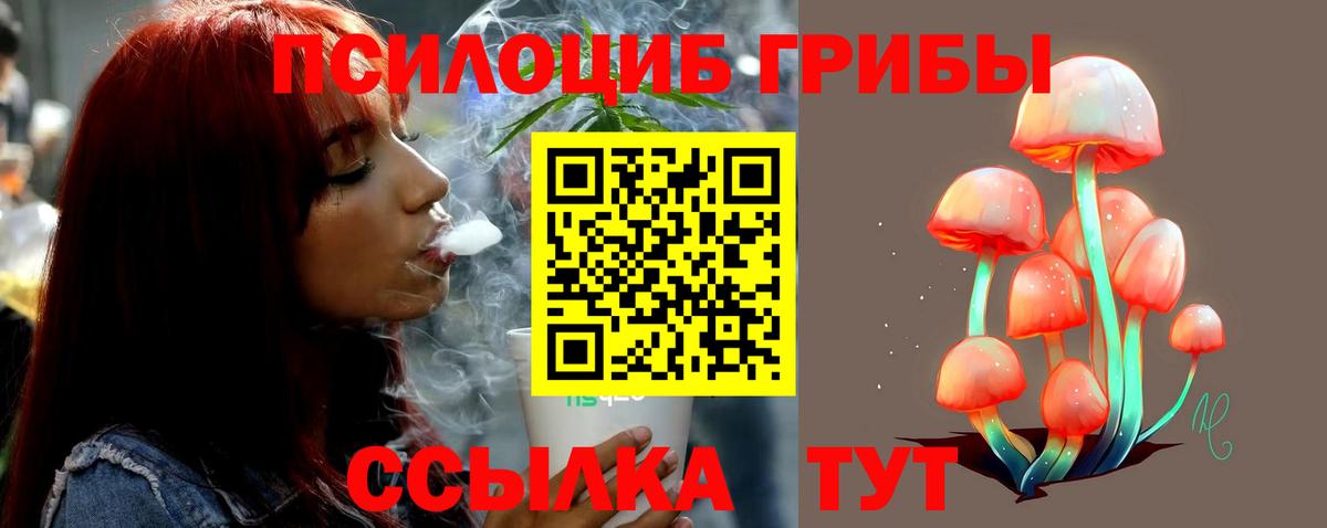 Псилоцибиновые грибы ЛСД Королёв