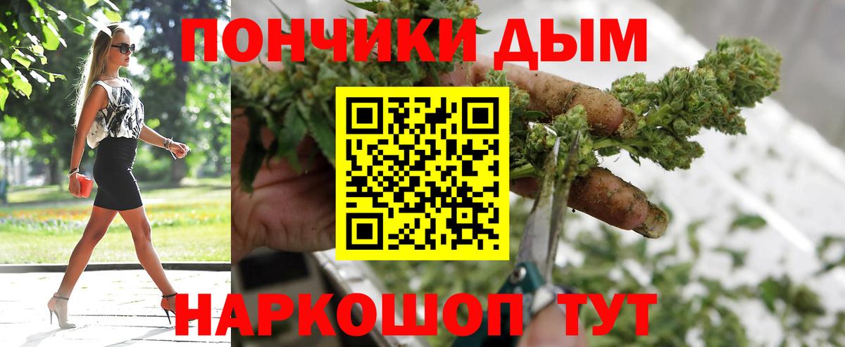 Бошки Шишки семена Королёв